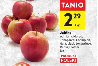 Intermarche Jabłka oferta