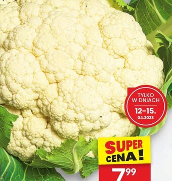 Twój Market Kalafior oferta