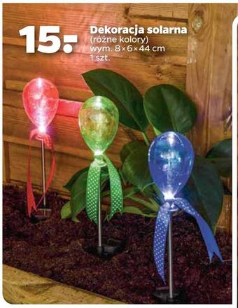 Netto Dekoracja solarna oferta