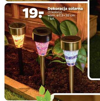 Netto Dekoracja solarna oferta