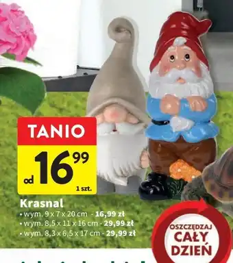 Intermarche Krasnal ogrodowy 8.5 x 11 x 16 cm oferta