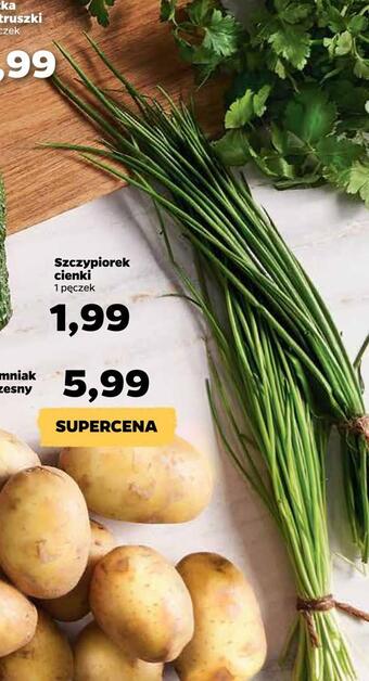 Netto Szczypiorek cienki oferta
