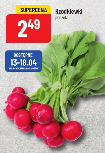 Polomarket Rzodkiewki oferta