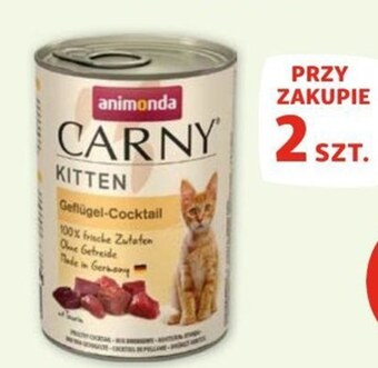 Maxi Zoo Karma dla kota animonda oferta