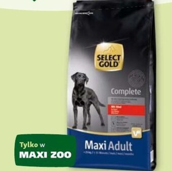 Maxi Zoo Karma dla psa select gold oferta