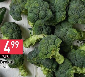 Stokrotka Brokuł oferta