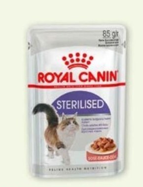 Maxi Zoo Karma dla kota royal canin oferta