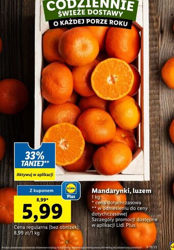Lidl Mandarynki oferta