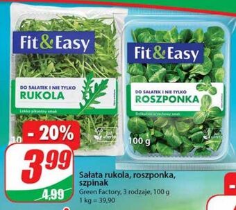 Dino Roszponka fit & easy oferta