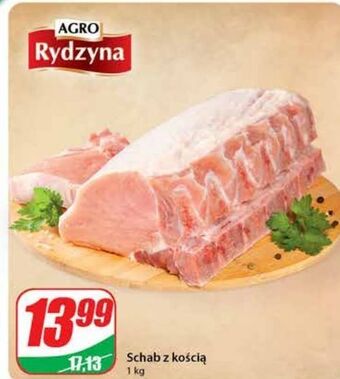Dino Schab z kością agro rydzyna oferta