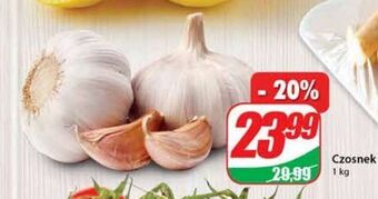 Dino Czosnek oferta