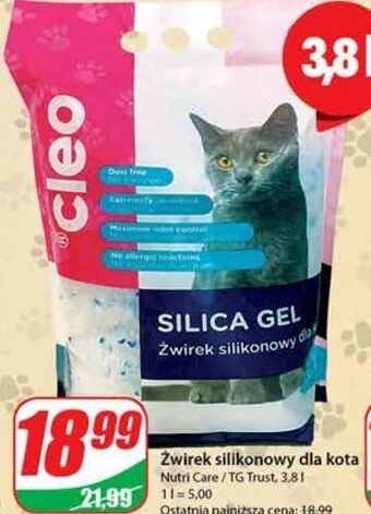 Dino Żwirek silikonowy dla kota cleo oferta