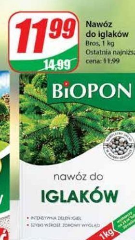 Dino Nawóz do iglaków biopon oferta