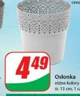 Dino Osłonka 13 cm oferta