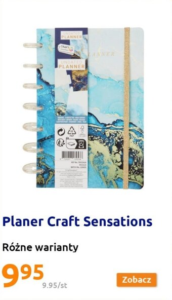 Action Planer oferta