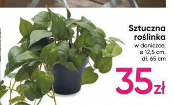 Pepco Sztuczna roślina oferta