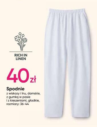 Pepco Spodnie damskie 36-44 oferta