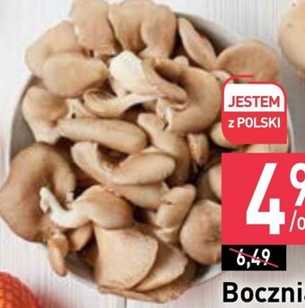 Boczniak