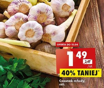 Biedronka Czosnek młody oferta