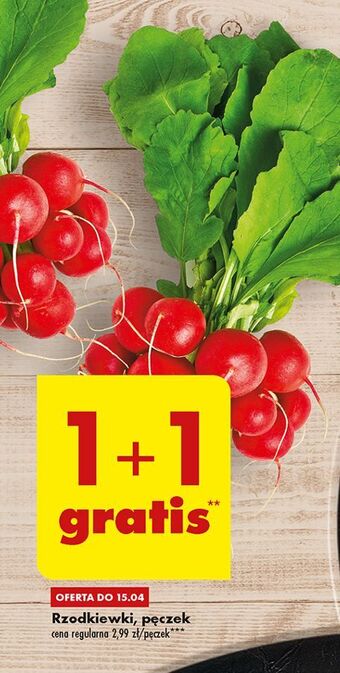 Biedronka Rzodkiewka oferta