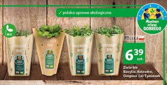 Auchan Tymianek bio auchan pewni dobrego oferta