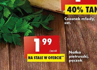 Biedronka Natka pietruszki oferta