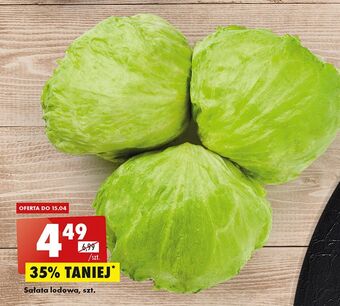 Biedronka Sałata lodowa oferta