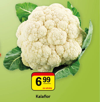 Gram Market Kalafior oferta