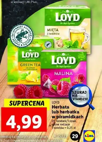 Lidl Herbata mięta z imbirem oferta