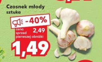 Kaufland Czosnek młody oferta