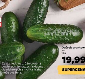 Netto Ogórek oferta