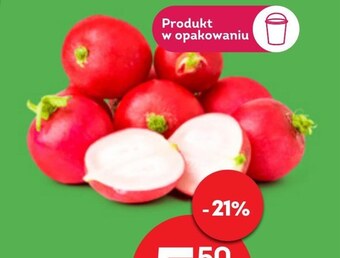 Żabka Rzodkiewki oferta