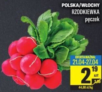 TomiMarkt Rzodkiewki oferta