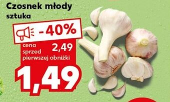 Kaufland Czosnek młody oferta