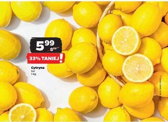 Netto Cytryna oferta