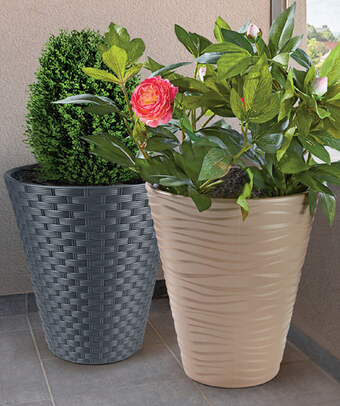 Biedronka Donica form plastic oferta