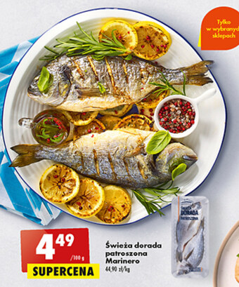 Biedronka Dorada marinero oferta