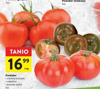 Intermarche Pomidory rebelion oferta