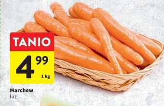 Intermarche Marchew oferta