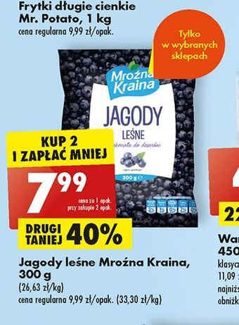 Biedronka Jagody leśne mroźna kraina oferta