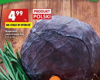 Biedronka Kapusta czerwona oferta