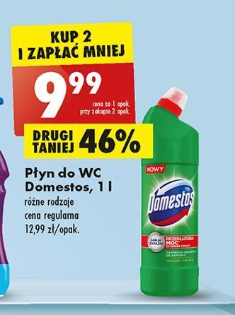 Biedronka Płyn do wc pine domestos oferta