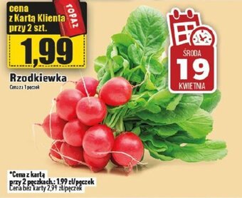 Topaz Rzodkiewka 1 pęczek oferta