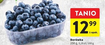 Intermarche Borówka amerykańska oferta