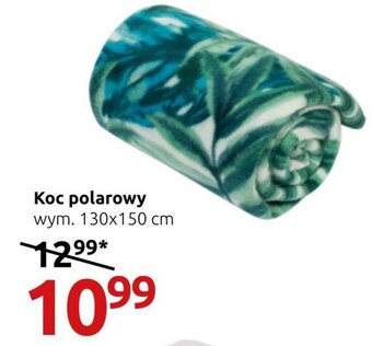 Black Red White Koc oferta