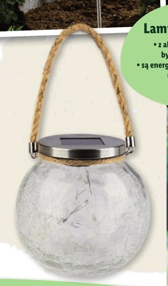 Lidl Lampion oferta