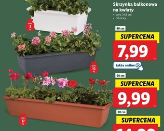 Lidl Skrzynka balkonowa na kwiaty oferta