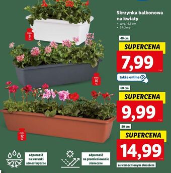 Lidl Skrzynka balkonowa 40 cm oferta