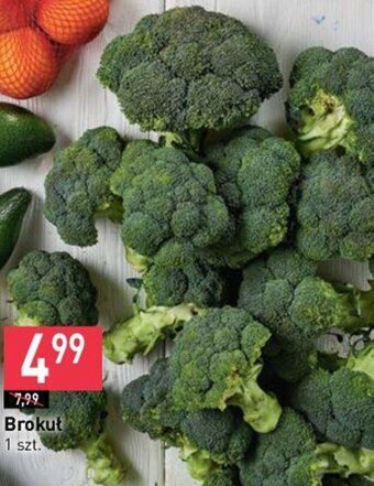 Stokrotka Brokuł 1szt. oferta