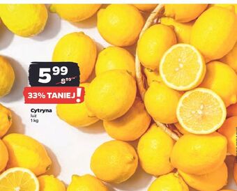 Netto Cytryny oferta
